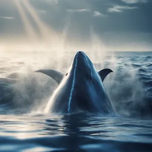 output/a_majestic_blue_whale_swimming.png